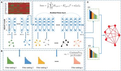 Inferring Gene Regulatory Networks From Single-Cell Transcriptomic Data Using Bidirectional RNN